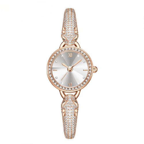 RADIENCE WATCH®